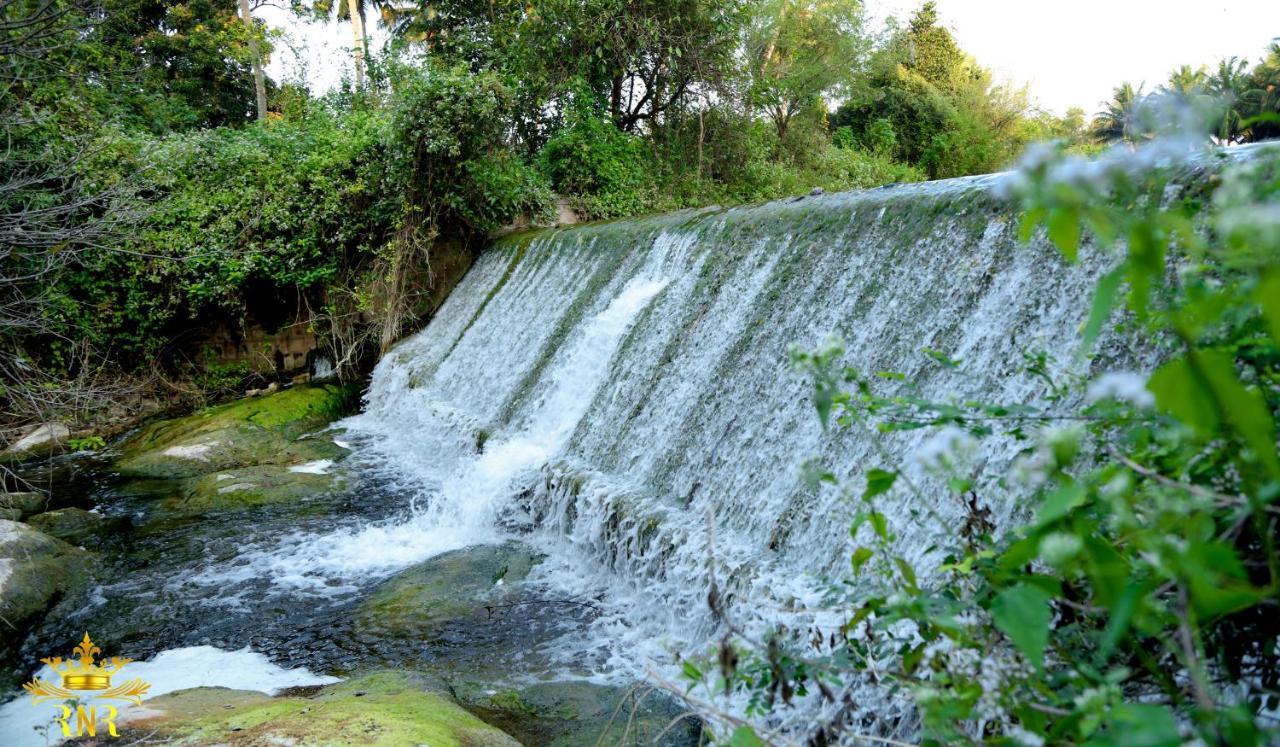Royal Nature Resort Pollāchi Exterior foto
